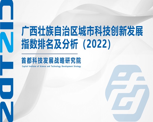 骚逼大鸡巴操操操操【成果发布】广西壮族自治区城市科技创新发展指数排名及分析（2022）